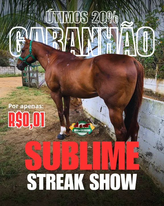 Post de divulgação da Rifa do Vaqueiro com cavalo